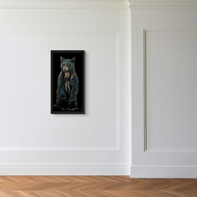 Baby Bear - Marcus Ashley Gallery - Marcus Ashley Gallery