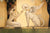 Beauty of the Sphinx - Marcus Ashley Gallery - Marcus Ashley Gallery