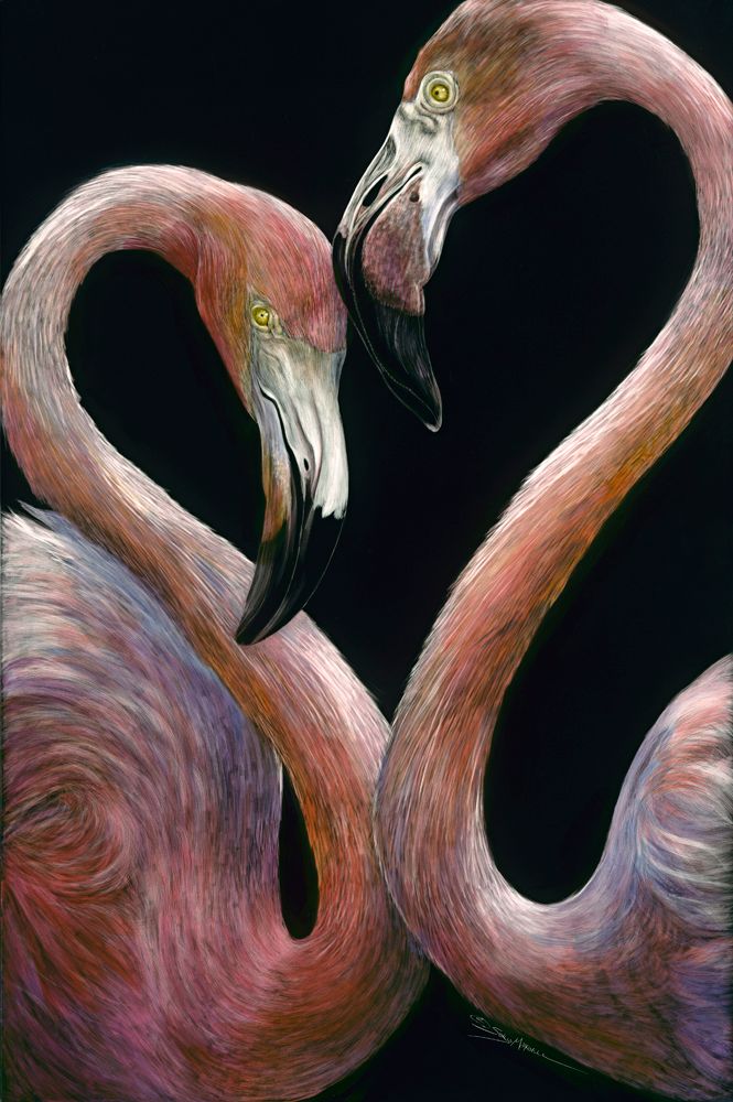 Birds of a Feather