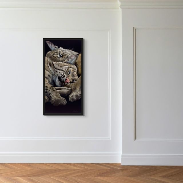 Bobcat Naps - Marcus Ashley Gallery - Marcus Ashley Gallery