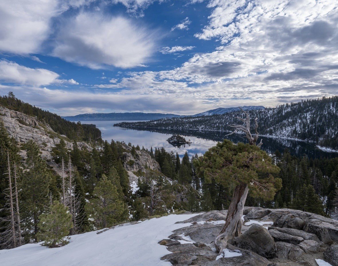 Bonsai Morning, Emerald Bay - Marcus Ashley Gallery - Marcus Ashley Gallery