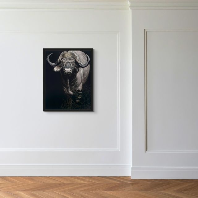 Cape Buffalo - Marcus Ashley Gallery - Marcus Ashley Gallery