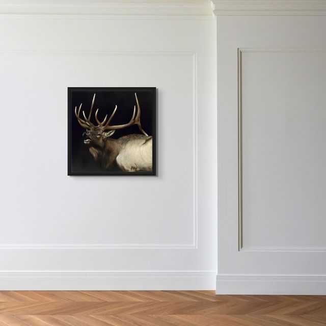 Cry of the Rockies - Marcus Ashley Gallery - Marcus Ashley Gallery