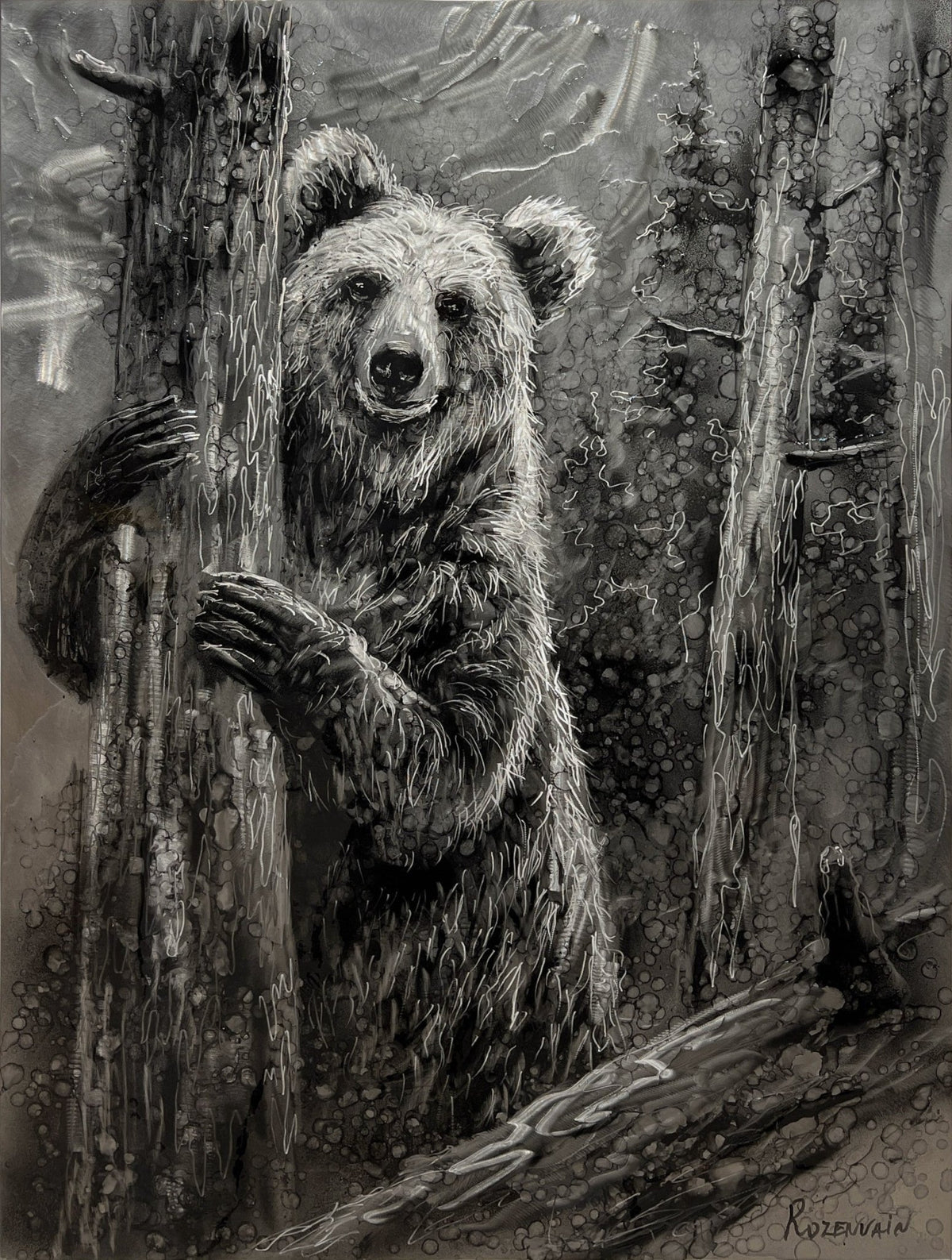 Curious Observer - Marcus Ashley Gallery - Marcus Ashley Gallery