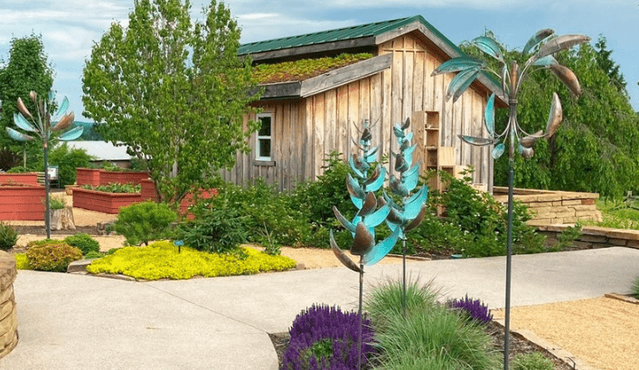 Desert Palm - Marcus Ashley Gallery - Marcus Ashley Gallery