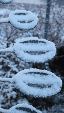 Double Helix Horizontal - Marcus Ashley Gallery - Marcus Ashley Gallery