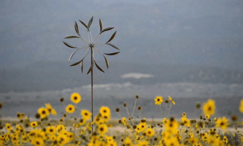 Double Spinner - Marcus Ashley Gallery - Marcus Ashley Gallery