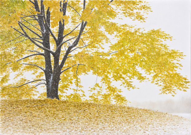 Early Snowfall