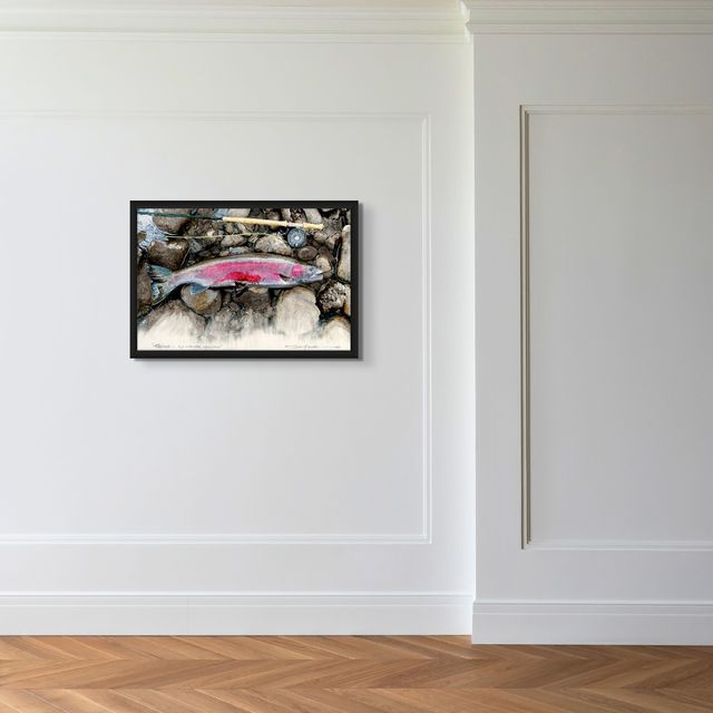 Fading - Wild Clearwater Steelhead - Marcus Ashley Gallery - Marcus Ashley Gallery