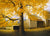 Fall of The Patriarch - Marcus Ashley Gallery - Marcus Ashley Gallery