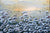 Floral White - 193892 - Marcus Ashley Gallery - Marcus Ashley Gallery