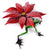 Poinsettia - Marcus Ashley Gallery - Marcus Ashley Gallery