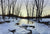 Ice Breaking - Marcus Ashley Gallery - Marcus Ashley Gallery