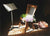 Gavotte - Marcus Ashley Gallery - Marcus Ashley Gallery