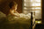 Here And Far Away - Marcus Ashley Gallery - Marcus Ashley Gallery