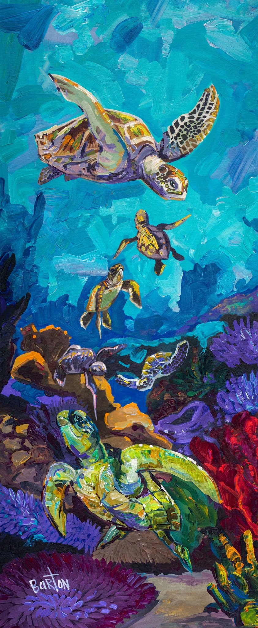 Honu Family - Marcus Ashley Gallery - Marcus Ashley Gallery