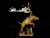 How Do You Kudu - Marcus Ashley Gallery
