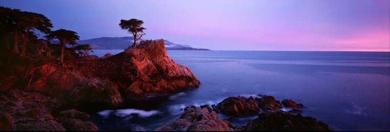 Lone Cypress Pink Sunset Panorama - Marcus Ashley Gallery - Marcus Ashley Gallery