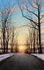 Long Journey into Spring - Marcus Ashley Gallery - Marcus Ashley Gallery