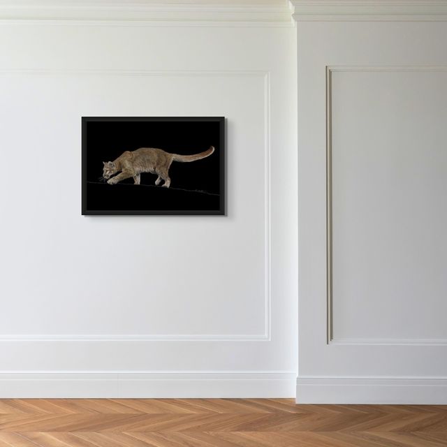 Looking For Answers - Marcus Ashley Gallery - Marcus Ashley Gallery