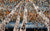 Looking Up Blue - 193770 - Marcus Ashley Gallery - Marcus Ashley Gallery