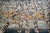 Looking Up Grey - 189185 - Marcus Ashley Gallery - Marcus Ashley Gallery