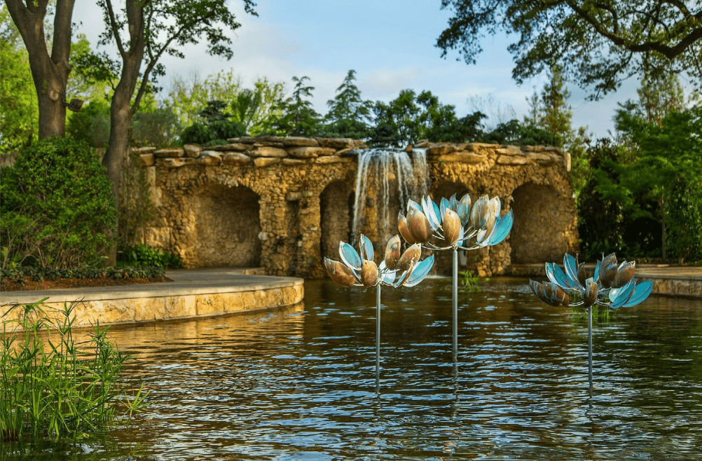 Lotus - Marcus Ashley Gallery - Marcus Ashley Gallery