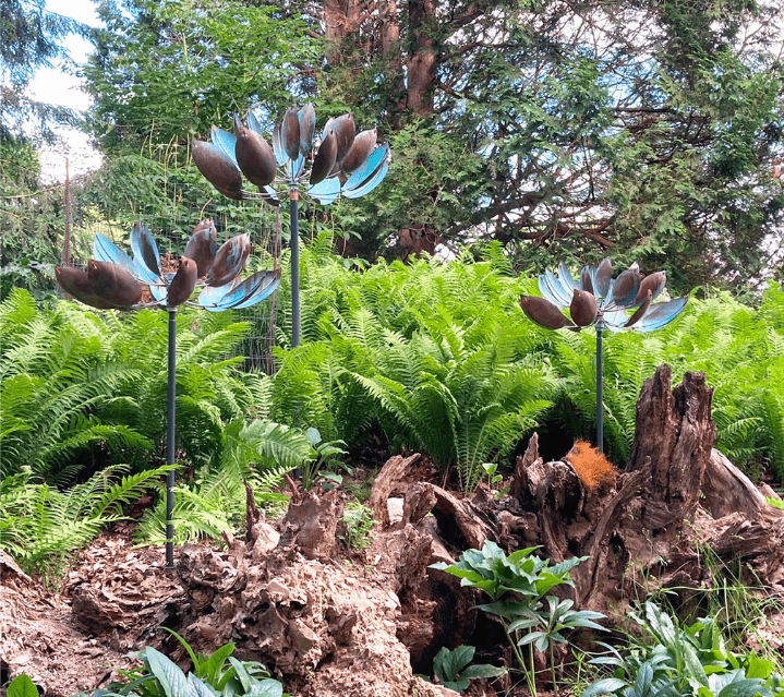 Lotus - Marcus Ashley Gallery - Marcus Ashley Gallery