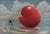 Love Conquers All - Marcus Ashley Gallery - Marcus Ashley Gallery