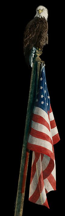 The product America The Beautiful features a majestic bald eagle atop a flagpole with an American flag draped against a black backdrop, creating an unforgettable statement piece that celebrates national pride and freedom.