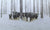 Medieval - Marcus Ashley Gallery - Marcus Ashley Gallery