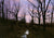 Mountain Creek - Marcus Ashley Gallery - Marcus Ashley Gallery