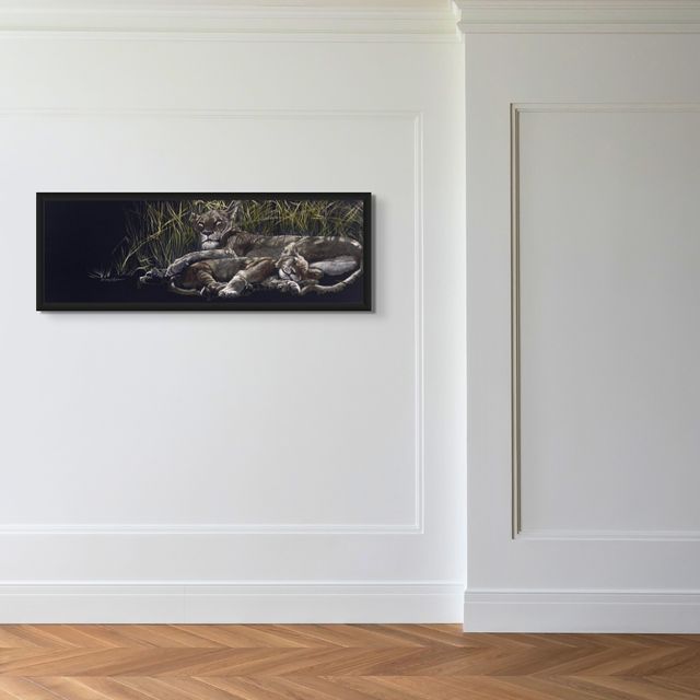 Naptime in the Shadows - Marcus Ashley Gallery - Marcus Ashley Gallery