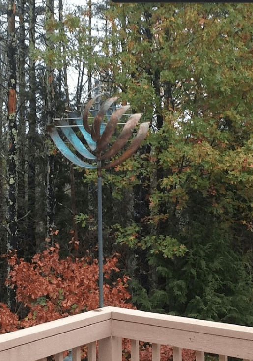 Nautilus - Marcus Ashley Gallery - Marcus Ashley Gallery