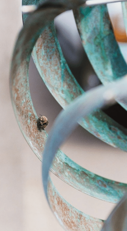 Nautilus - Marcus Ashley Gallery - Marcus Ashley Gallery