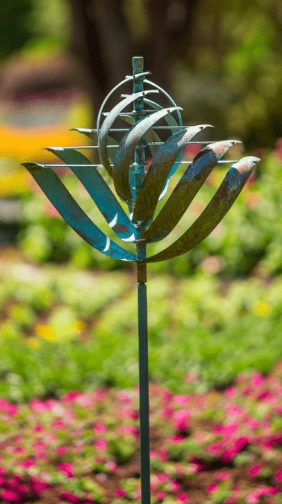 Nautilus - Marcus Ashley Gallery - Marcus Ashley Gallery