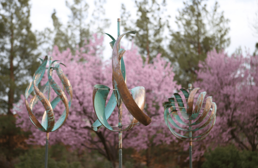 Nautilus - Marcus Ashley Gallery - Marcus Ashley Gallery