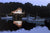 Night Harbor - Marcus Ashley Gallery - Marcus Ashley Gallery