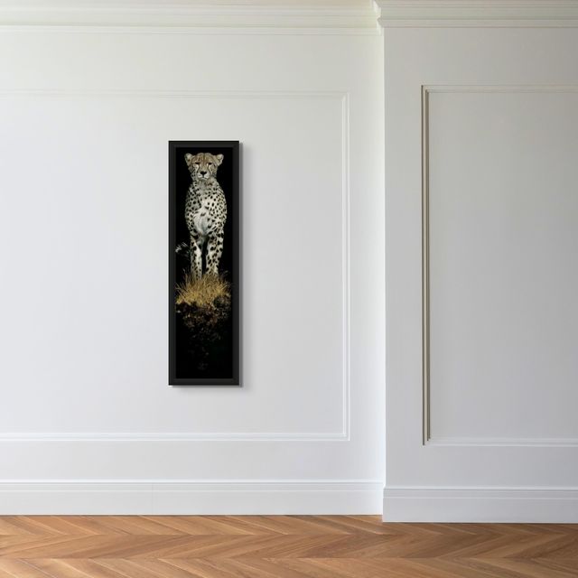 Night Stalker - Marcus Ashley Gallery - Marcus Ashley Gallery