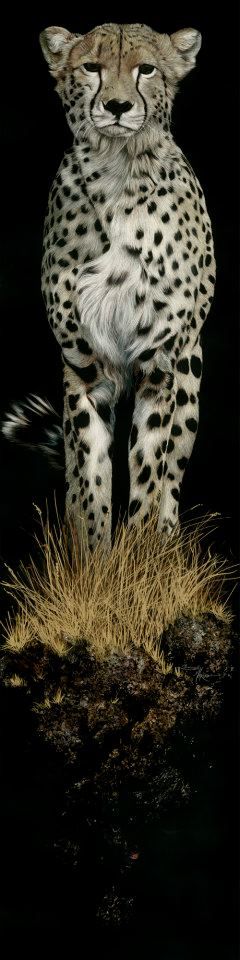 Night Stalker