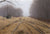 November Journey - Marcus Ashley Gallery - Marcus Ashley Gallery