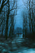 November Moonlight - Marcus Ashley Gallery - Marcus Ashley Gallery
