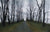 November Road - Marcus Ashley Gallery - Marcus Ashley Gallery