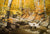 October Creek - Marcus Ashley Gallery - Marcus Ashley Gallery
