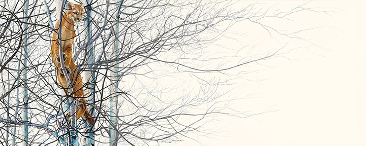 Out On A Limb - Marcus Ashley Gallery - Marcus Ashley Gallery