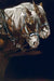 Partners for Life - Marcus Ashley Gallery - Marcus Ashley Gallery