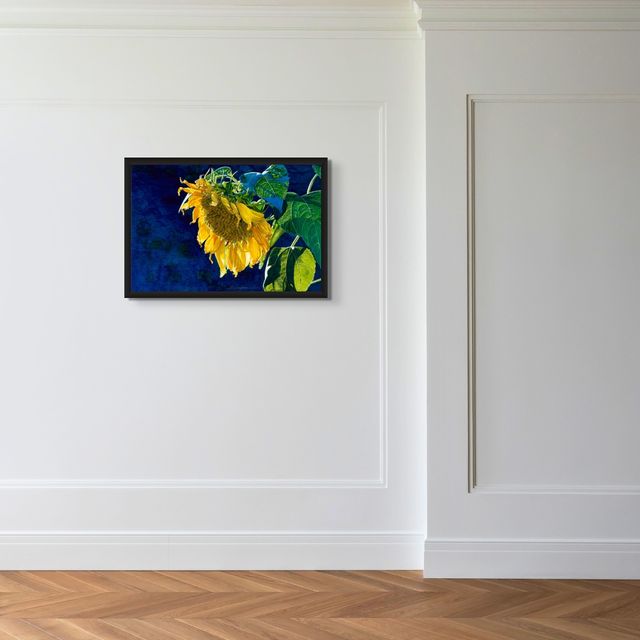 Past Prime - Marcus Ashley Gallery - Marcus Ashley Gallery