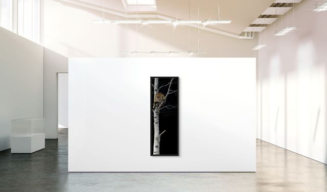 Precarious Position - Marcus Ashley Gallery - Marcus Ashley Gallery