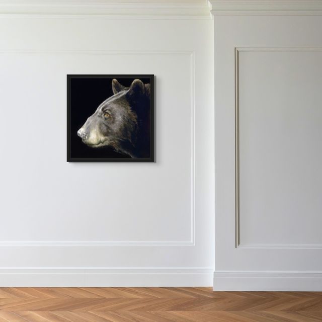 Profile of a Black Bear - Marcus Ashley Gallery - Marcus Ashley Gallery