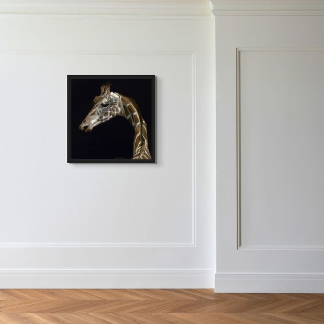 Profile of a Giraffe - Marcus Ashley Gallery - Marcus Ashley Gallery